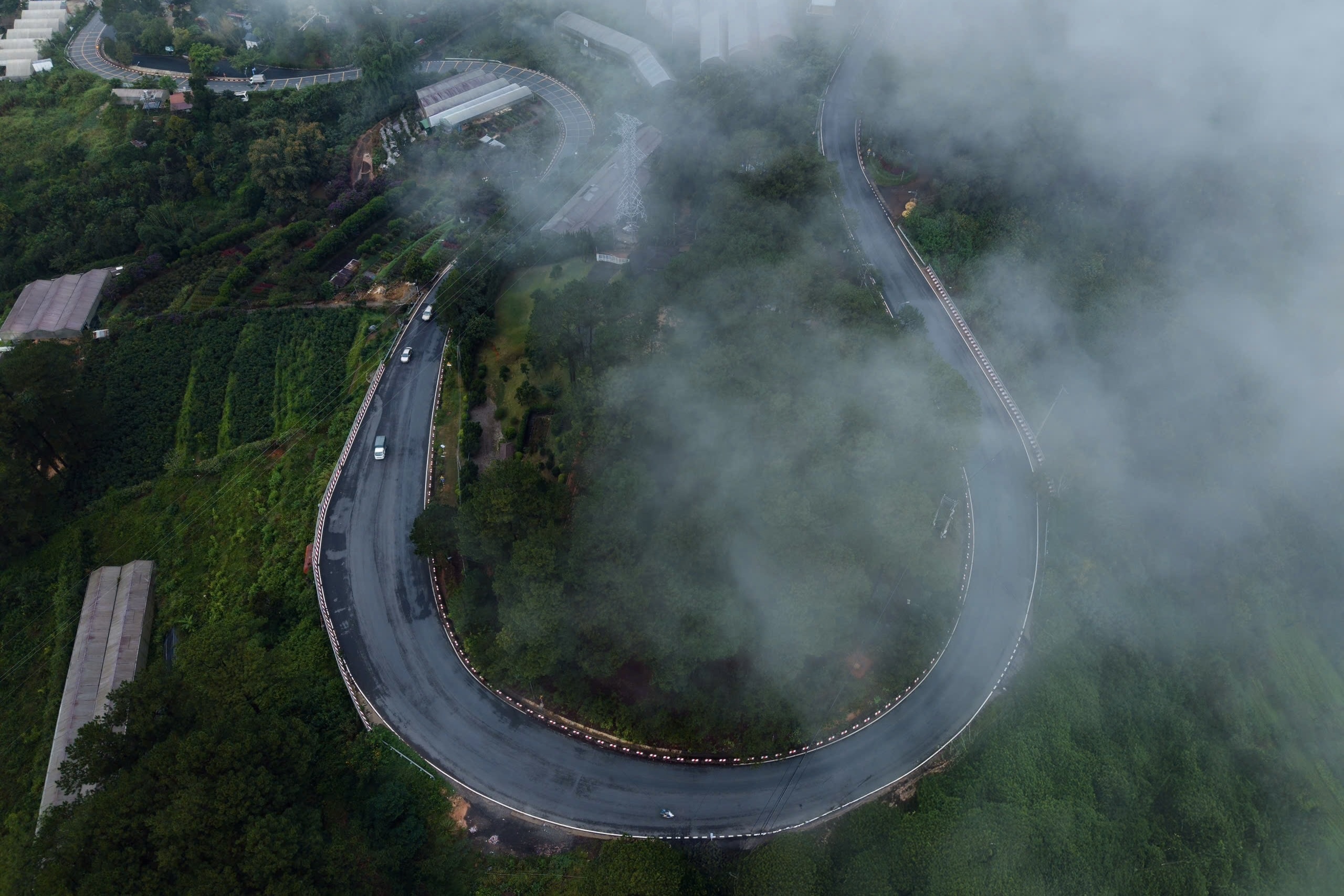 Bien may bong benh tren deo Mimosa mot ngay sau thong xe hinh anh