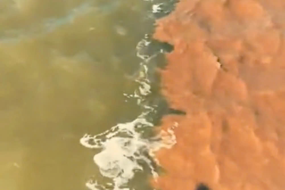 Thuc hu hien tuong bien 'am duong' o Ca Mau hinh anh