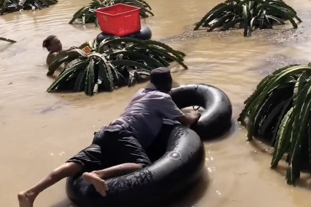 Khoanh khac nguoi dan Lam Dong om ruot xe cuu thanh long chim trong bien nuoc hinh anh