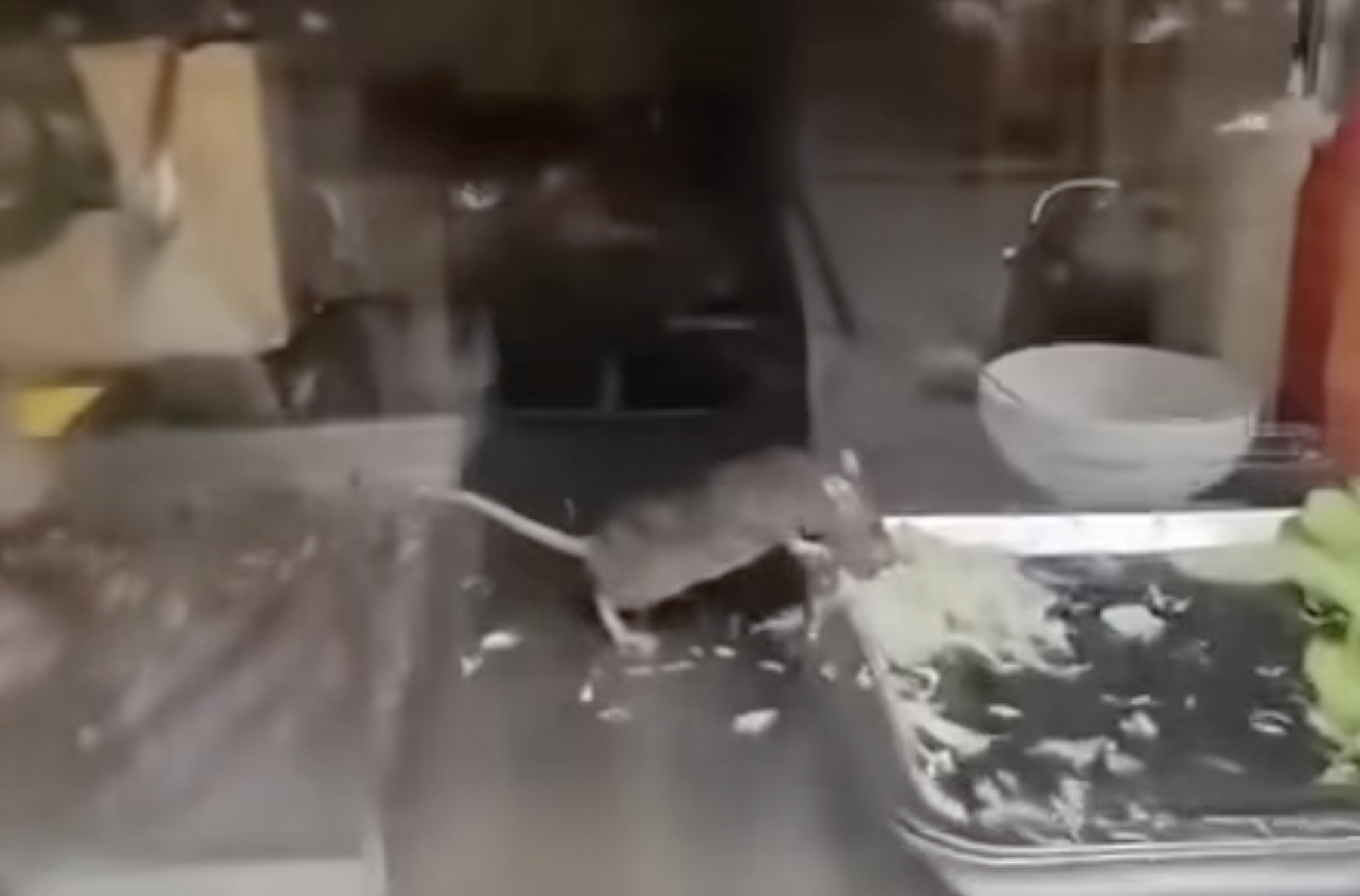 Canh chuot gam rau, thit trong quay banh mi gay soc hinh anh