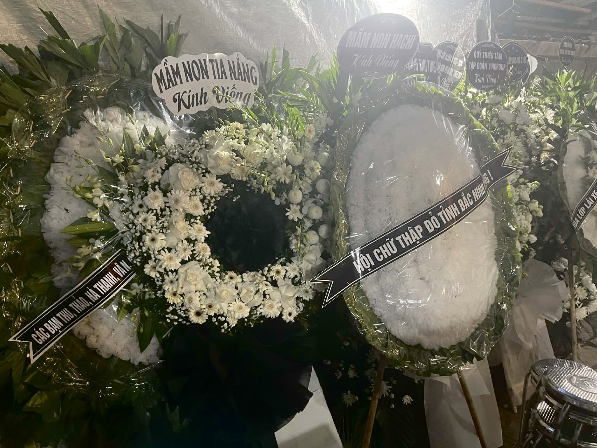 co giao tu nan anh 2