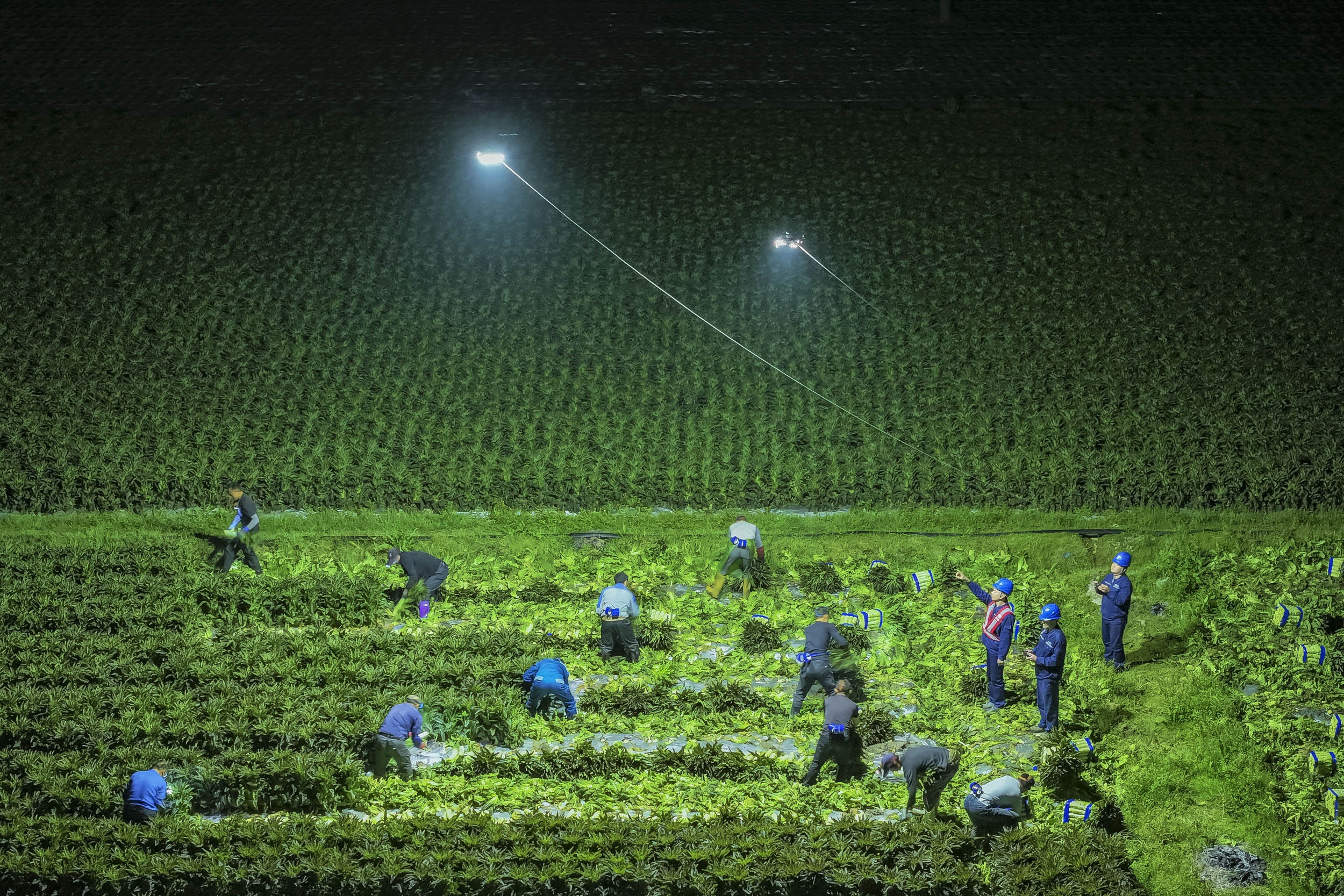 anh gay sung sot anh 2