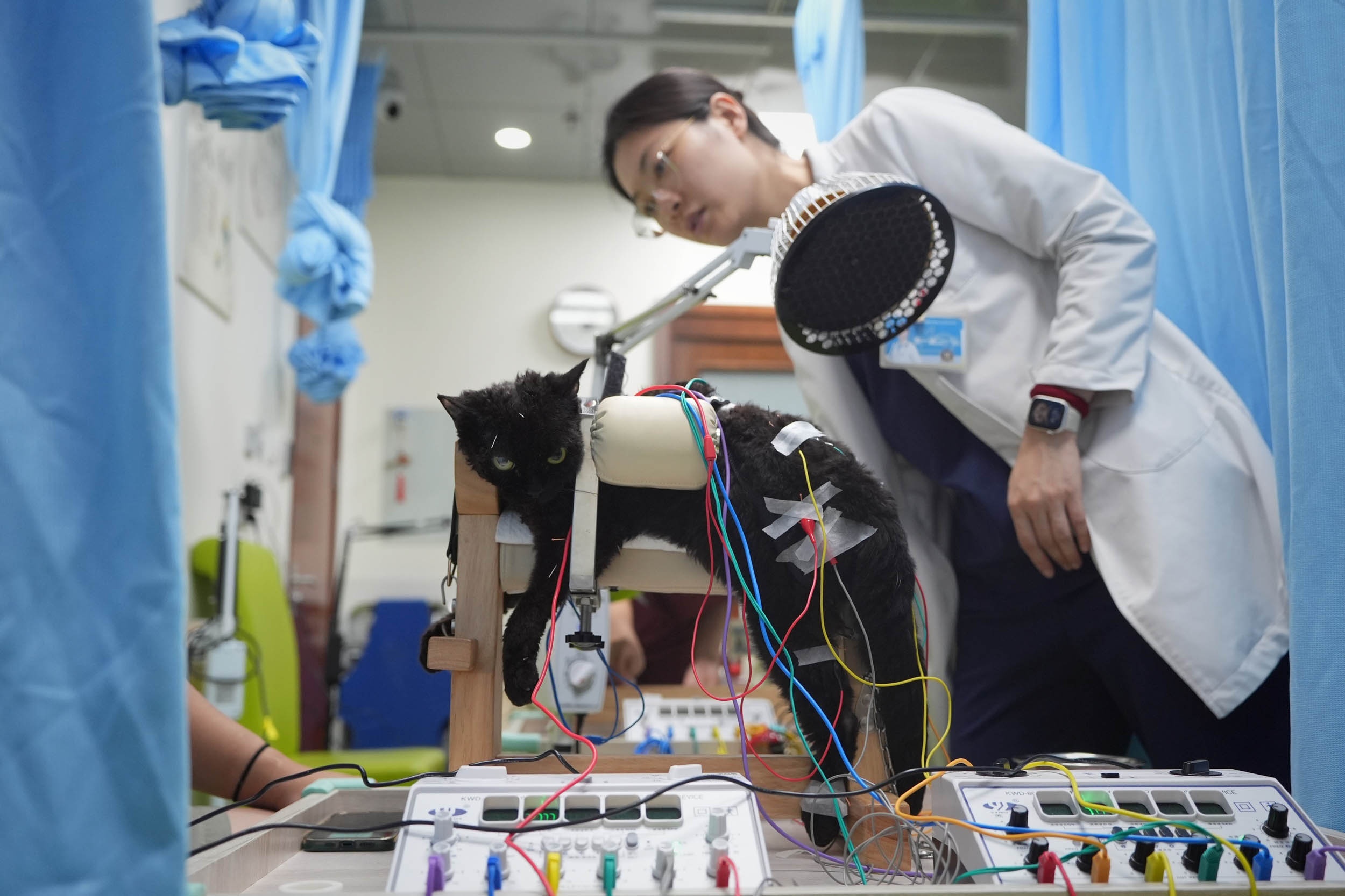 anh gay sung sot anh 11