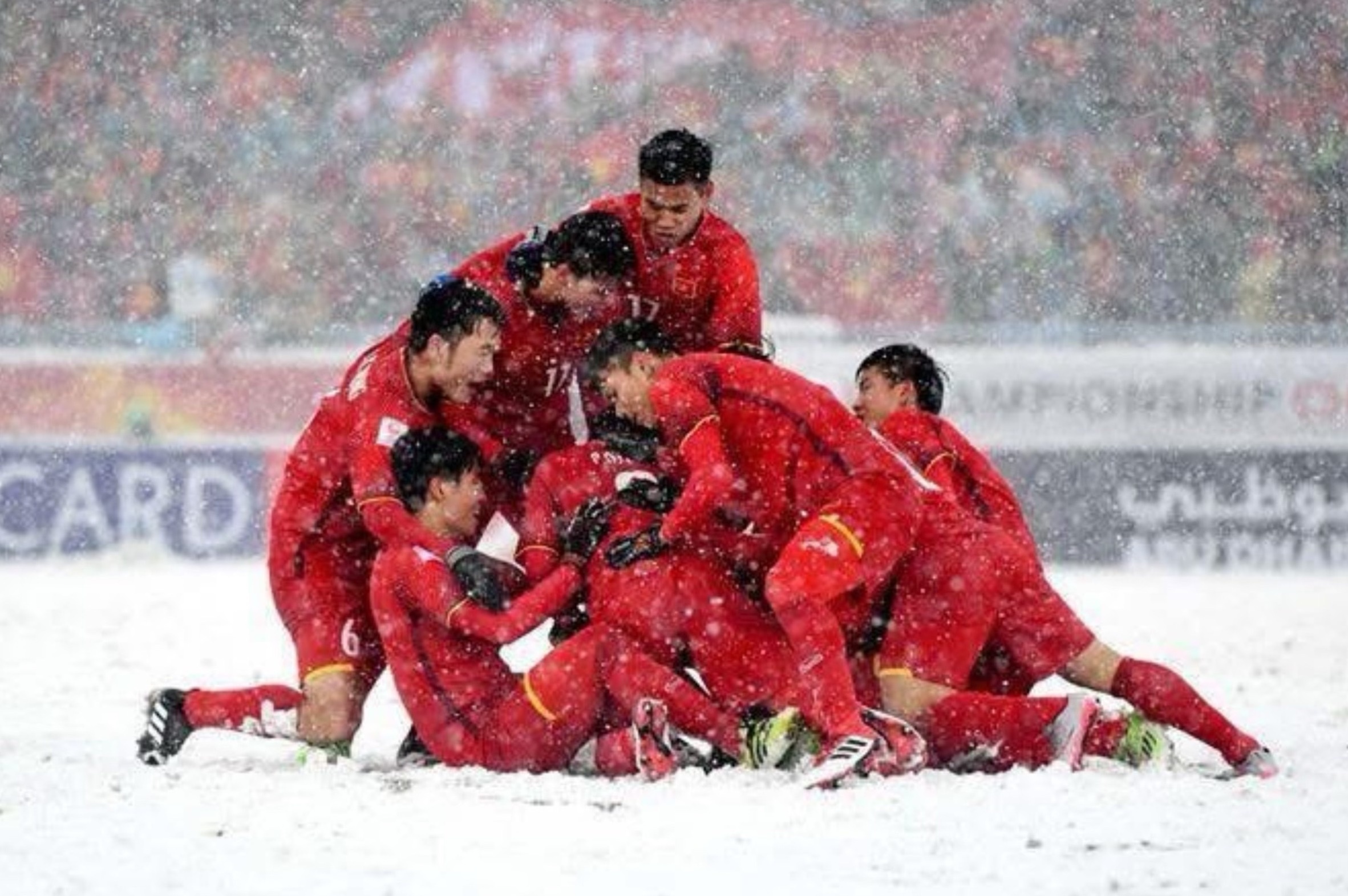 CDV mong U23 Viet Nam 'viet tiep cau chuyen vo dich' nam 2018 hinh anh