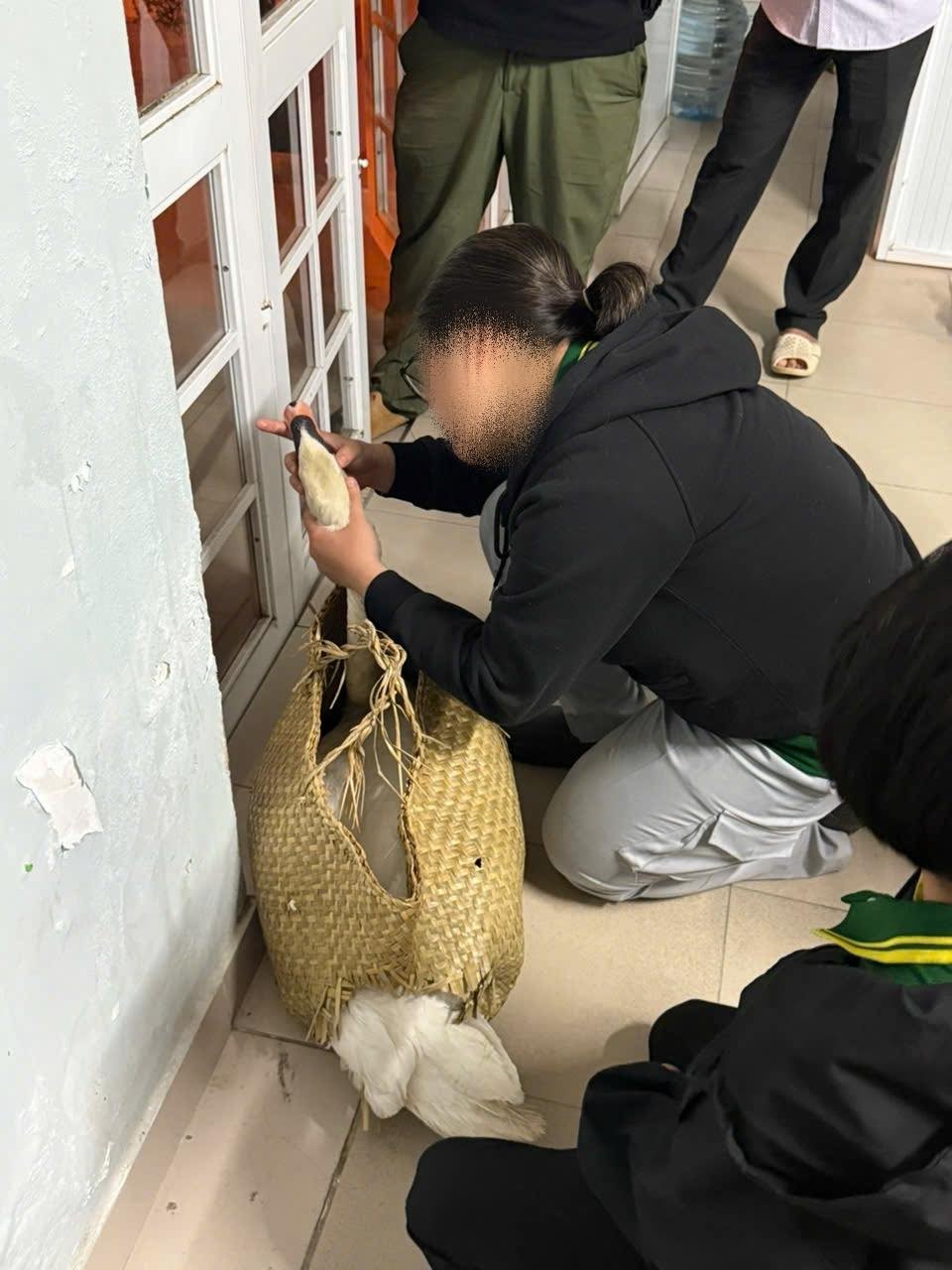 thien nga trang anh 1