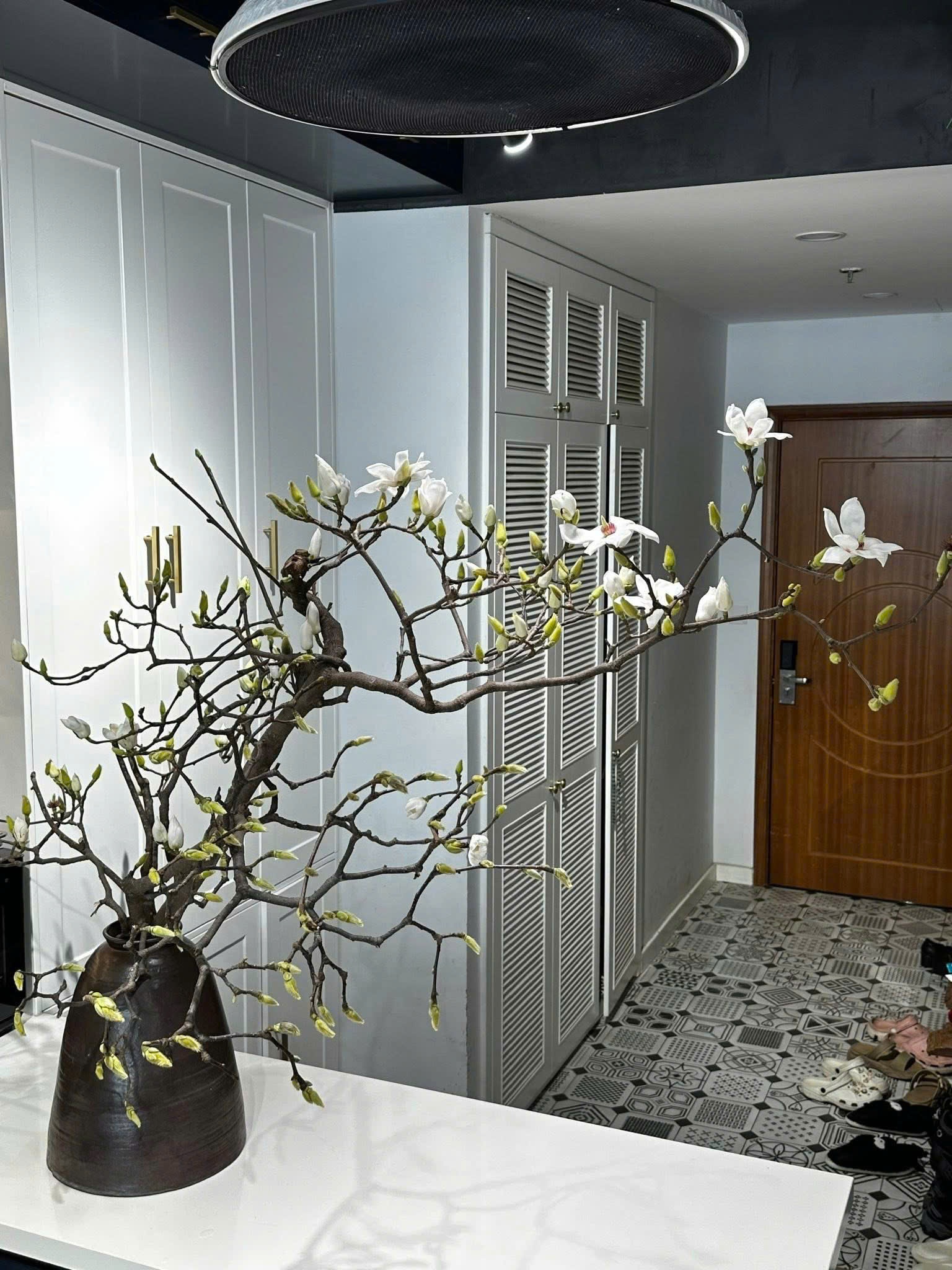 hoa mộc lan ảnh 1 hoa moc lan anh 1