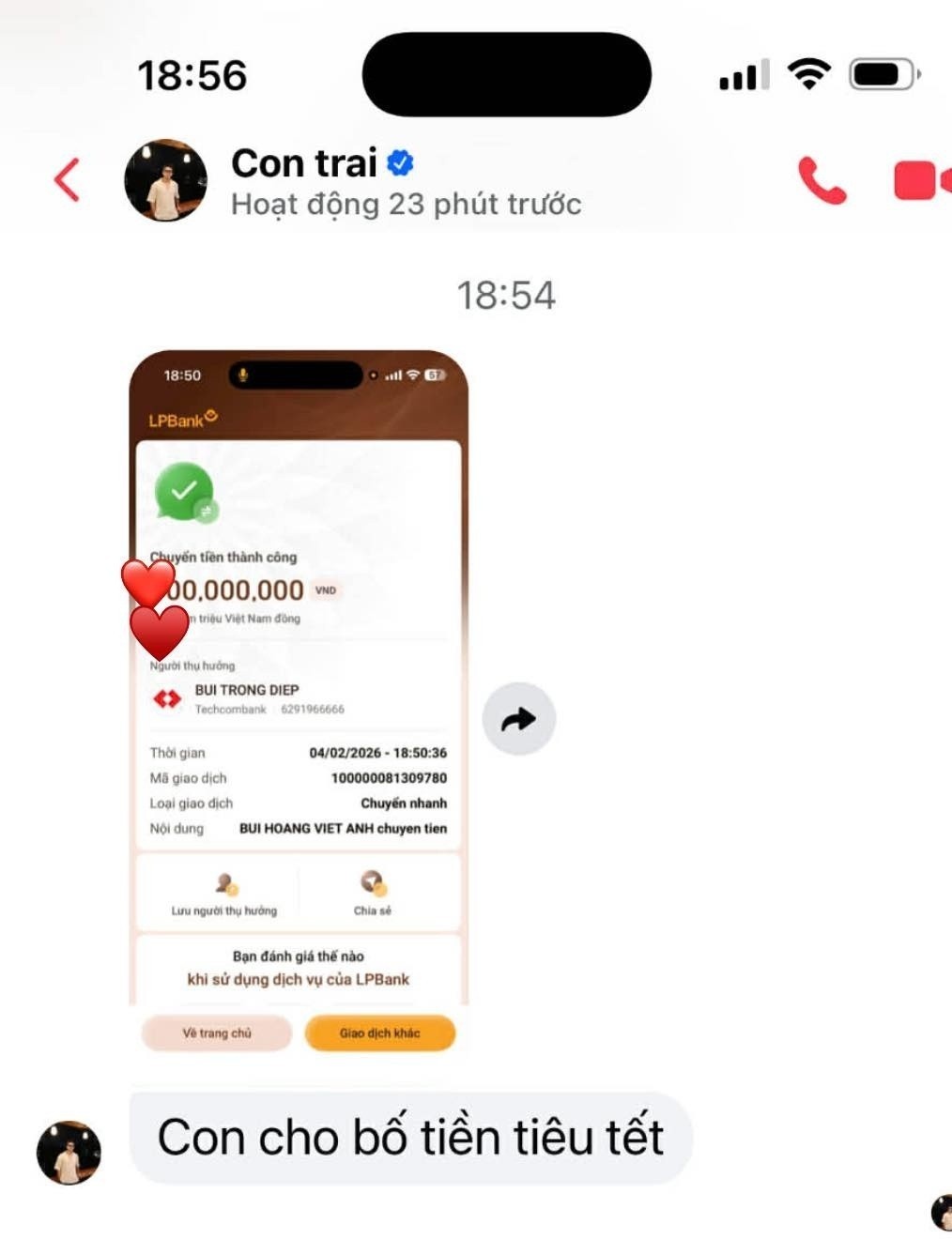 Bui Hoang Viet Anh anh 1