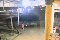 Khoanh khac kinh hoang khi be trai bi phao nha hang xom ban vao mat hinh anh