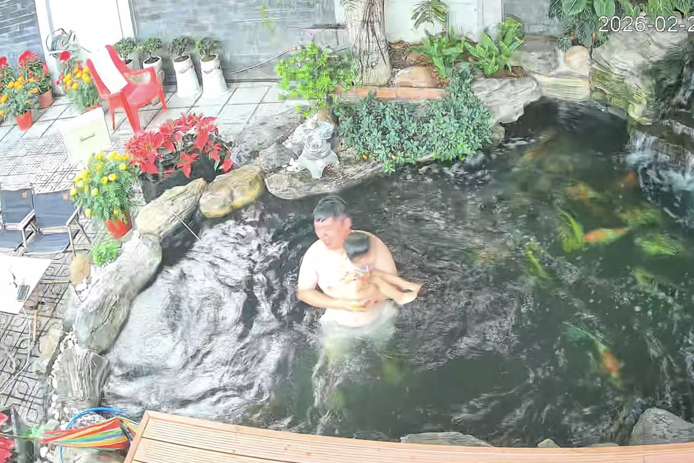 Khoanh khac 2 cha con roi xuong ho ca Koi vi vong 'dut phut' hinh anh