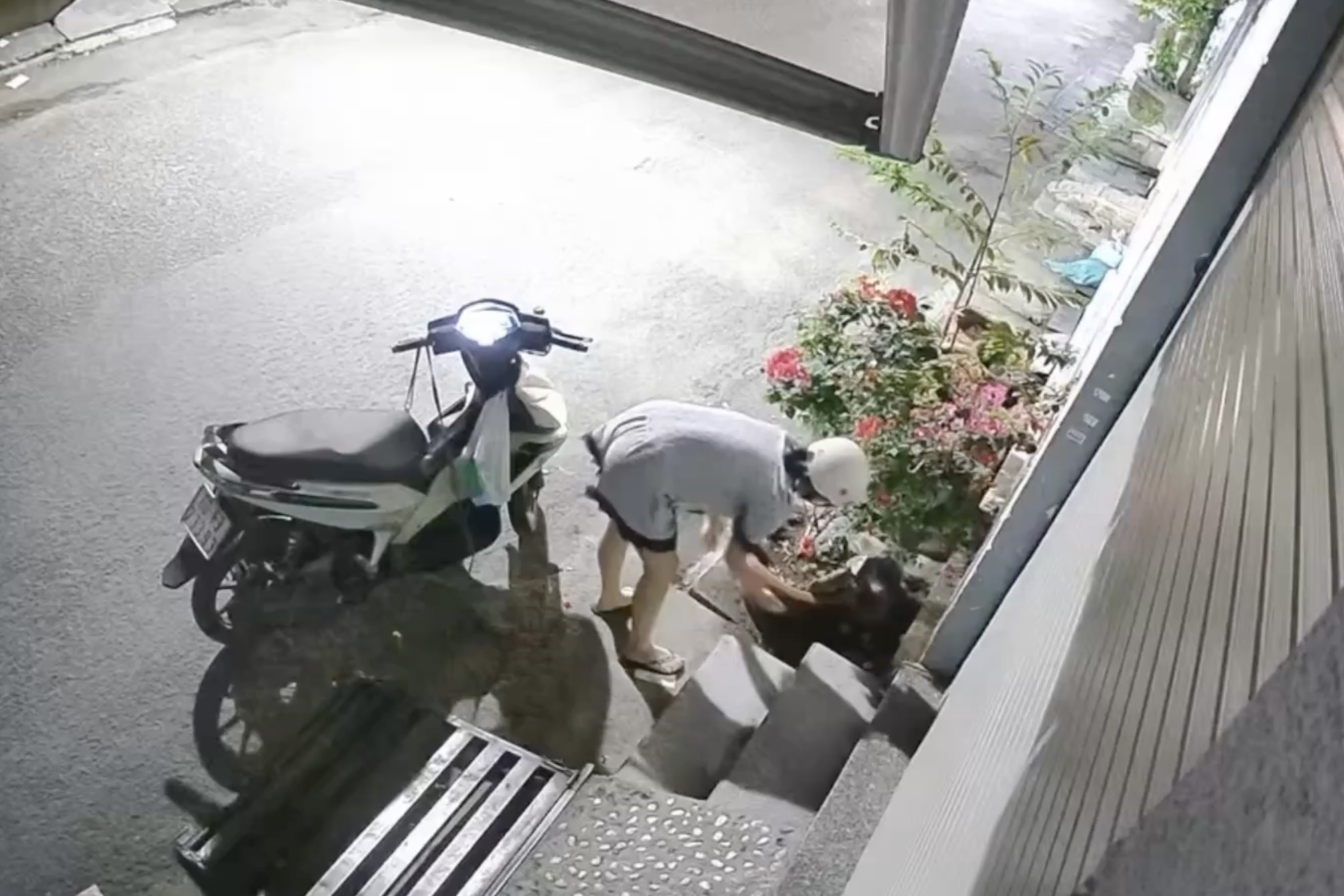 Thot tim canh chu truy duoi ke trom meo o Dong Nai hinh anh