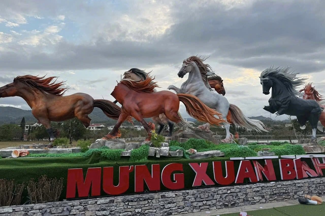 Cong an xac minh dan linh vat ngua o Quang Tri bi chat chan, mat dau hinh anh