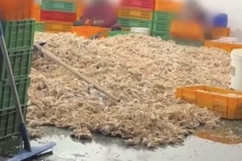 Quy trinh che bien chan ga boc mui gay soc o Trung Quoc hinh anh