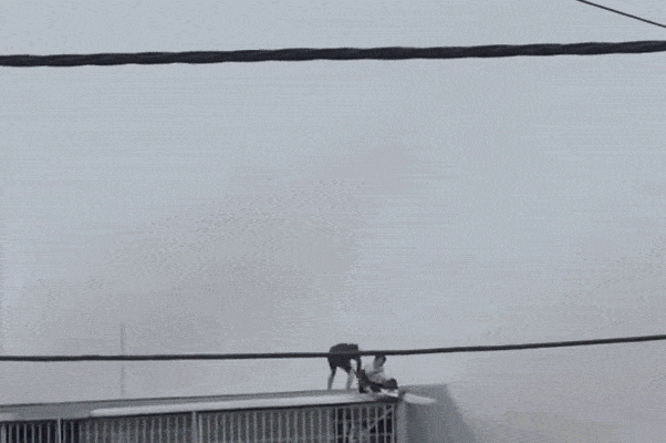 2 thanh nien cam bua ta pha mai ton, cuu 8 nguoi thoat khoi dam chay hinh anh