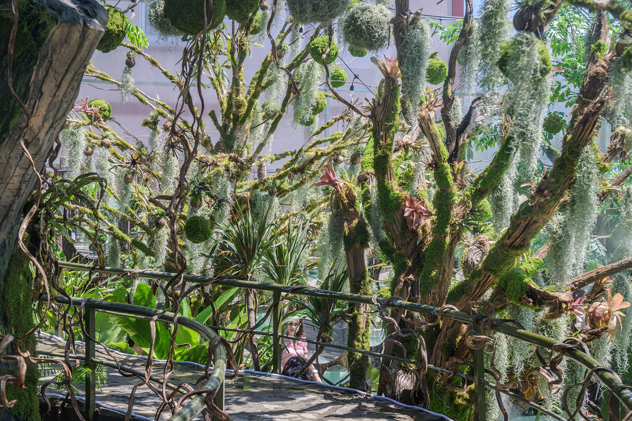 quán cà phê ảnh 3 quan ca phe anh 3