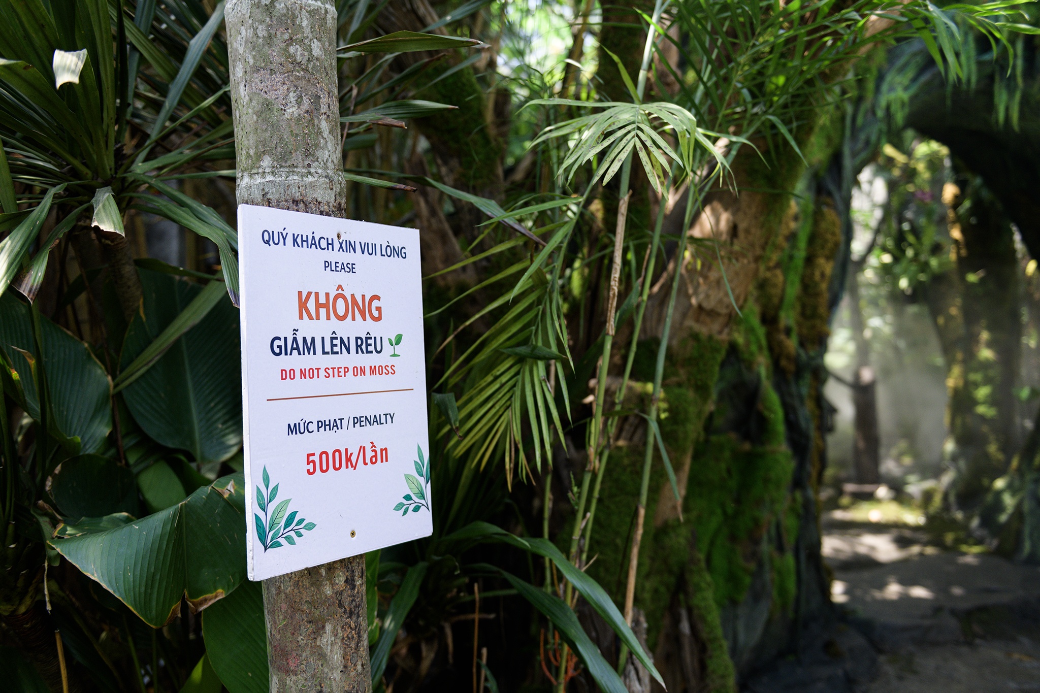 quán cà phê ảnh 5 quan ca phe anh 5