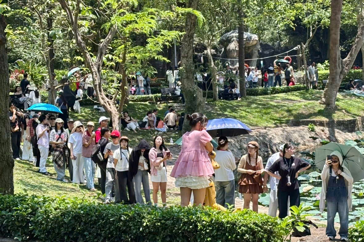 Gioi tre xep hang dai de chup anh voi 'ech ngoi thien' o Thao Cam Vien hinh anh