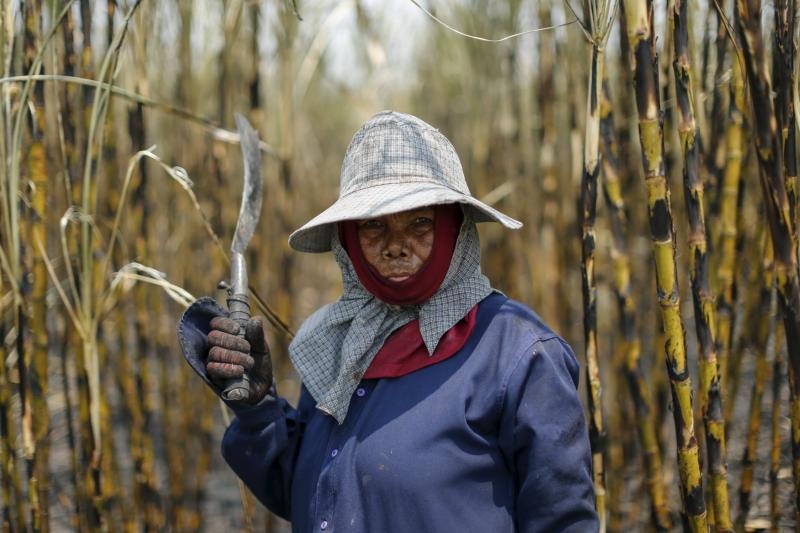 Chau A ra sao truoc dot El Nino 'manh nhat'? hinh anh