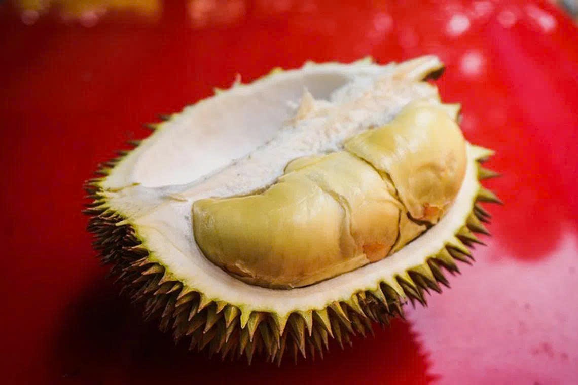 sau rieng anh 2