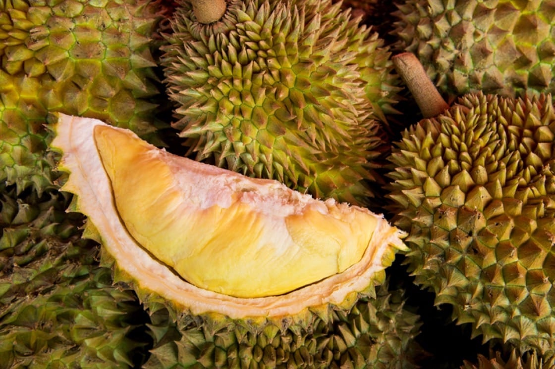 'Thu phu sau rieng' Thai Lan tieu dieu, nong dan khoc rong hinh anh