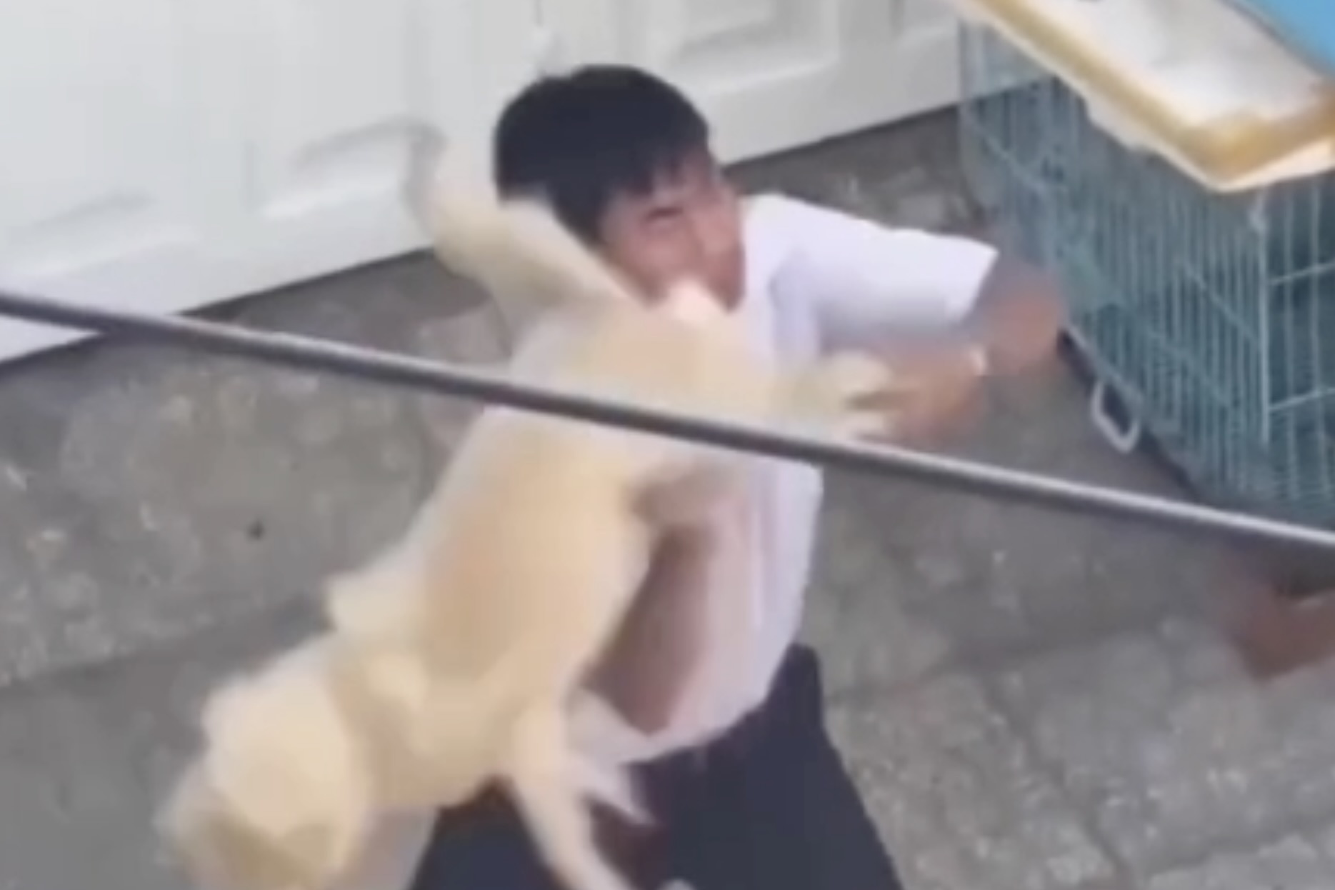 Clip shipper o TP.HCM bi danh vi khong cat long cho gay phan no hinh anh