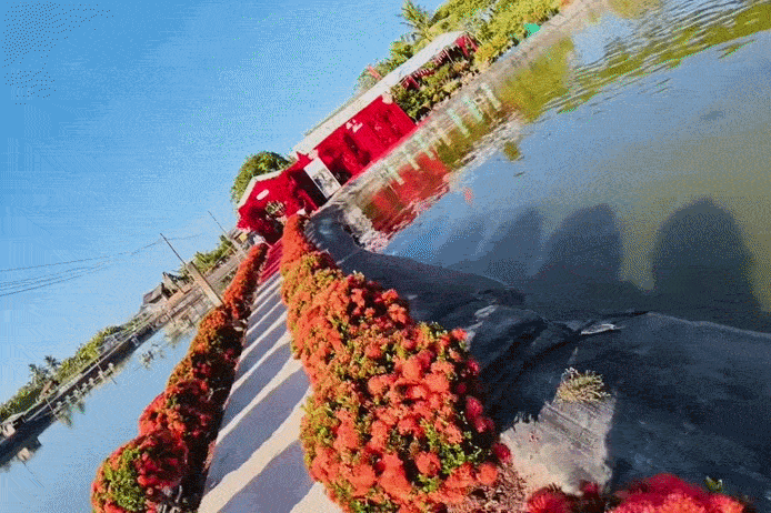Dam cuoi hoanh trang giua vuong tom rong 1.500 m2 o mien Tay hinh anh