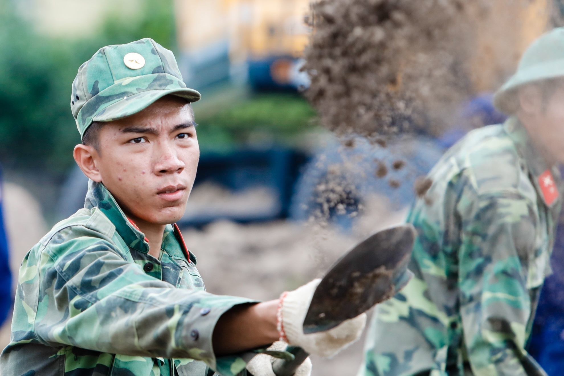 Nhom nghien cuu My cung cap tu lieu ve ho chon tap the o Tan Son Nhat hinh anh