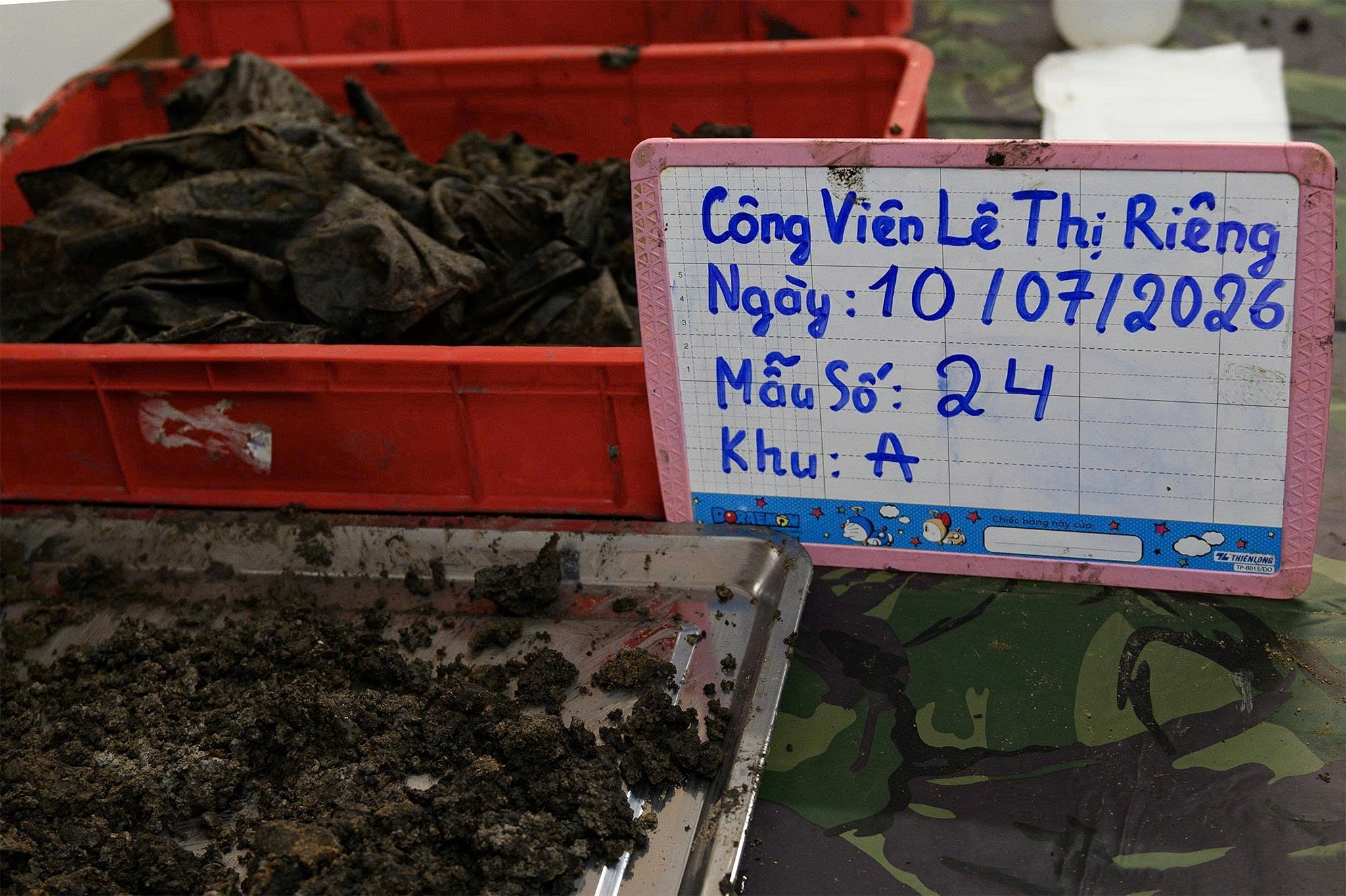 Le Thi Rieng anh 11