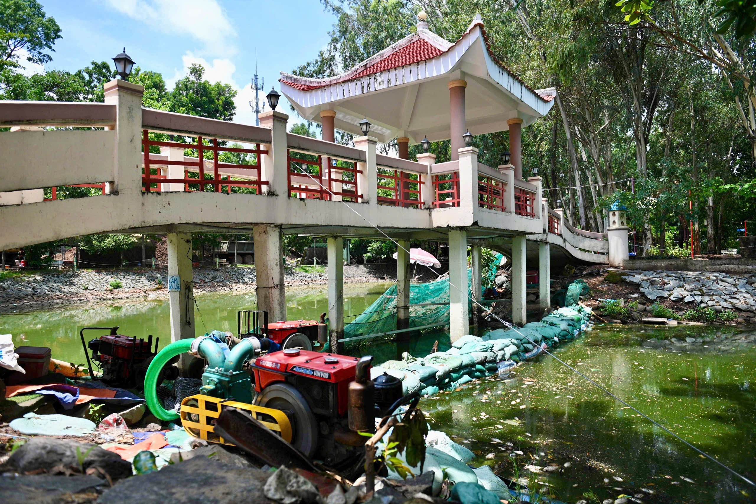  L&ecirc; Thị Ri&ecirc;ng ảnh 5