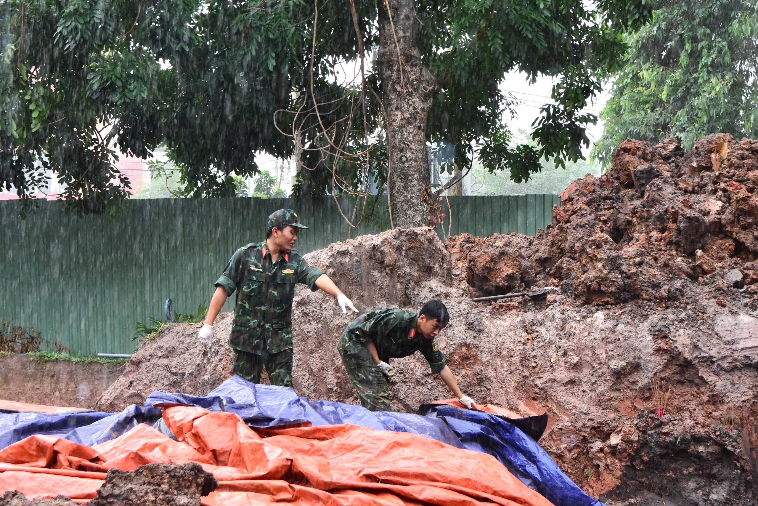 TP.HCM ảnh 2