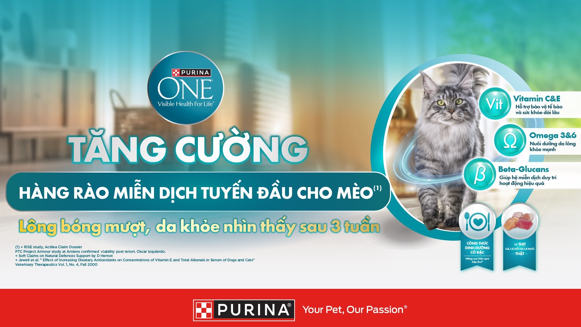 m&egrave;o ảnh 2