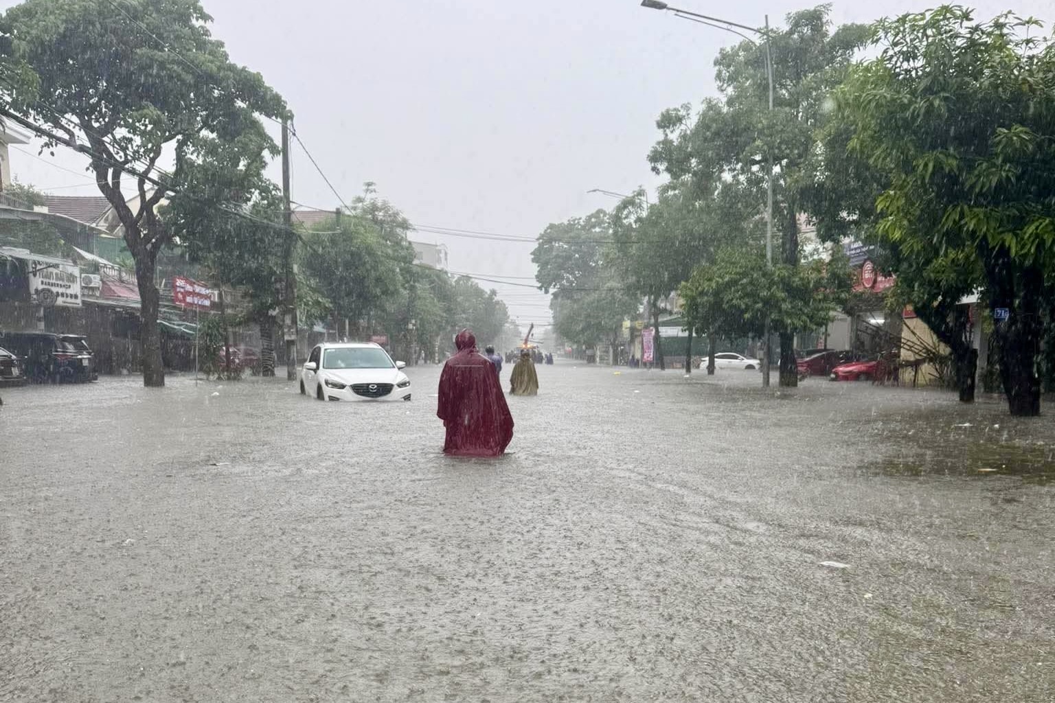Vinh  ảnh 1