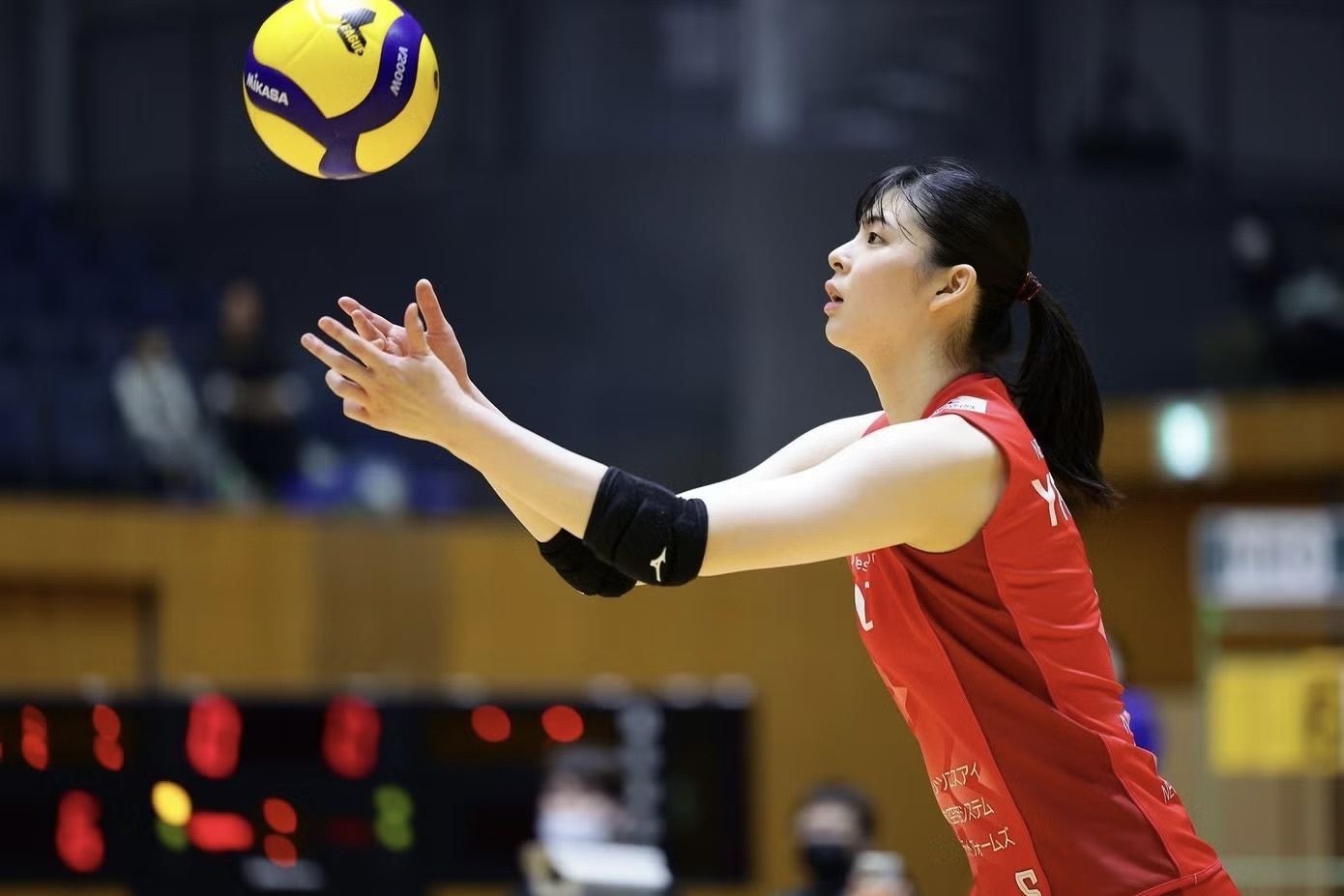 Asiad ảnh 3 Asiad ảnh 3