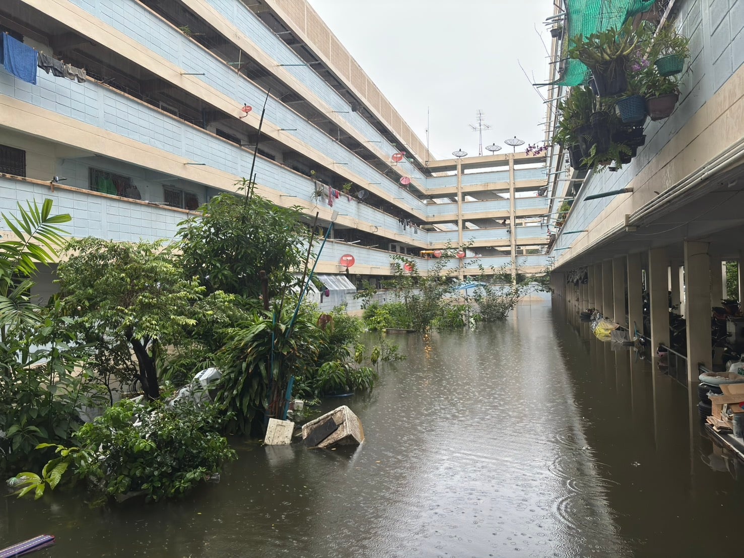 Bangkok ảnh 1