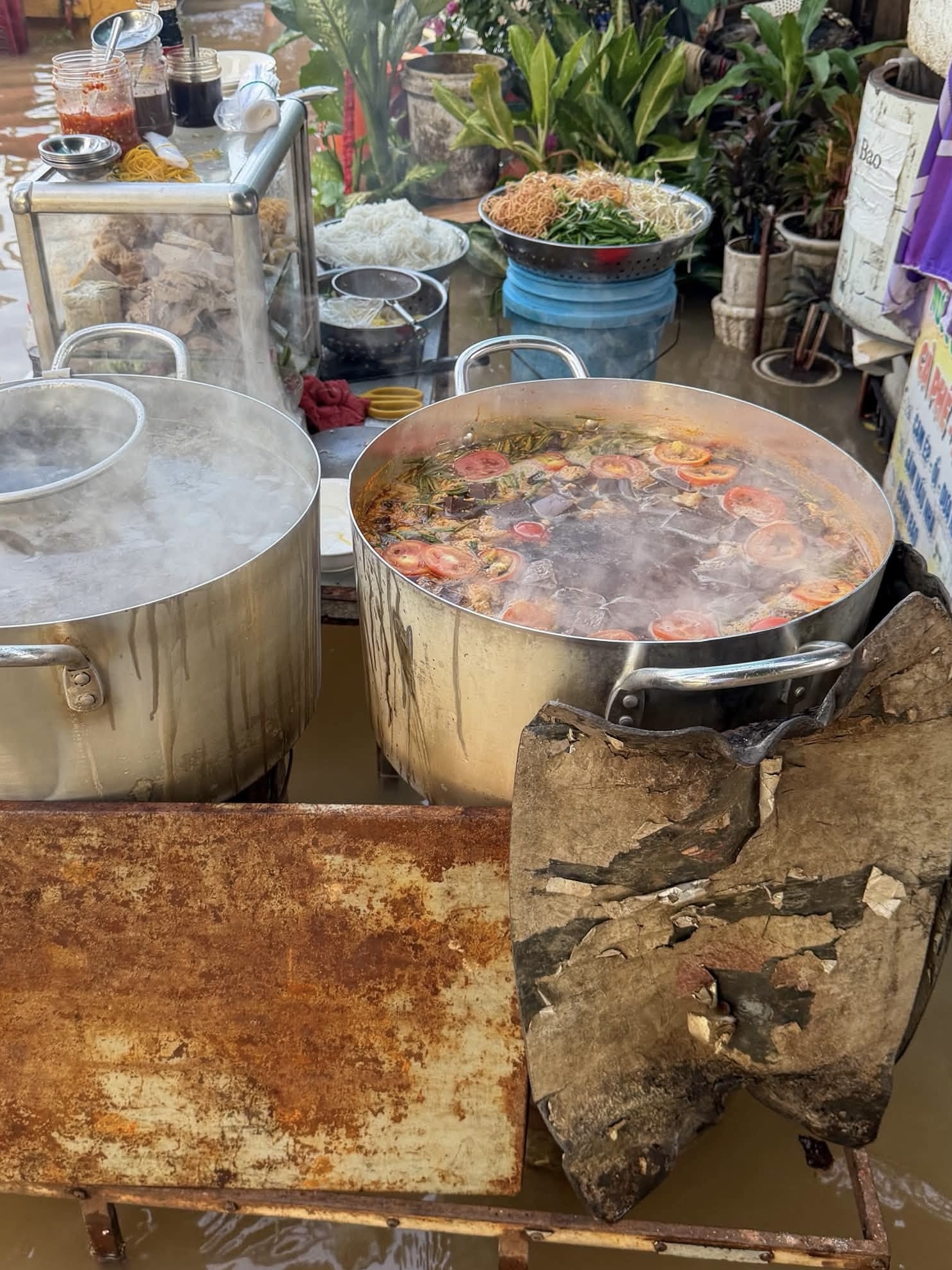 b&uacute;n ri&ecirc;u ảnh 2