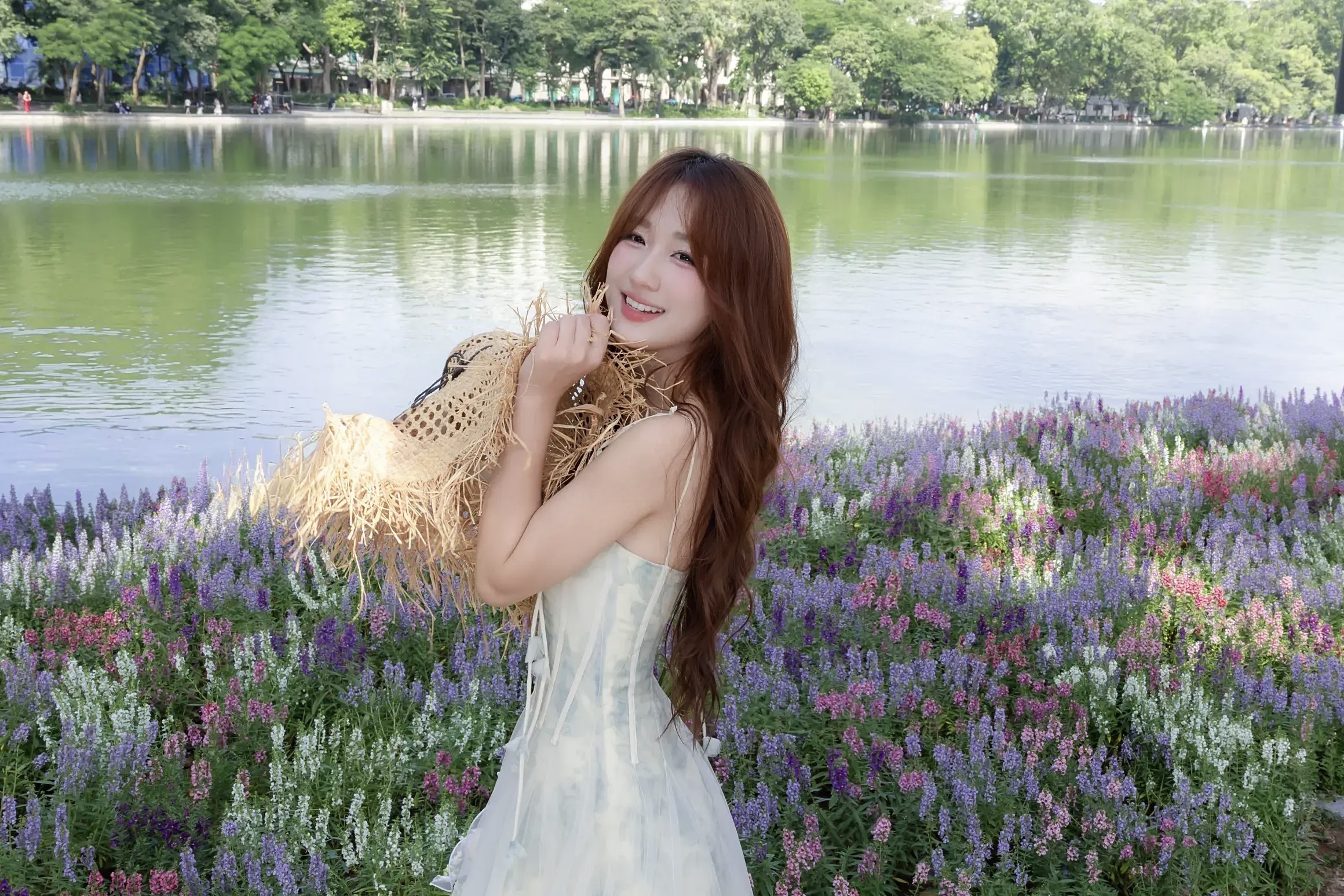 Thảm violet Nhật khiến nàng thơ 'đứng ngồi không yên' ở Hồ Gươm