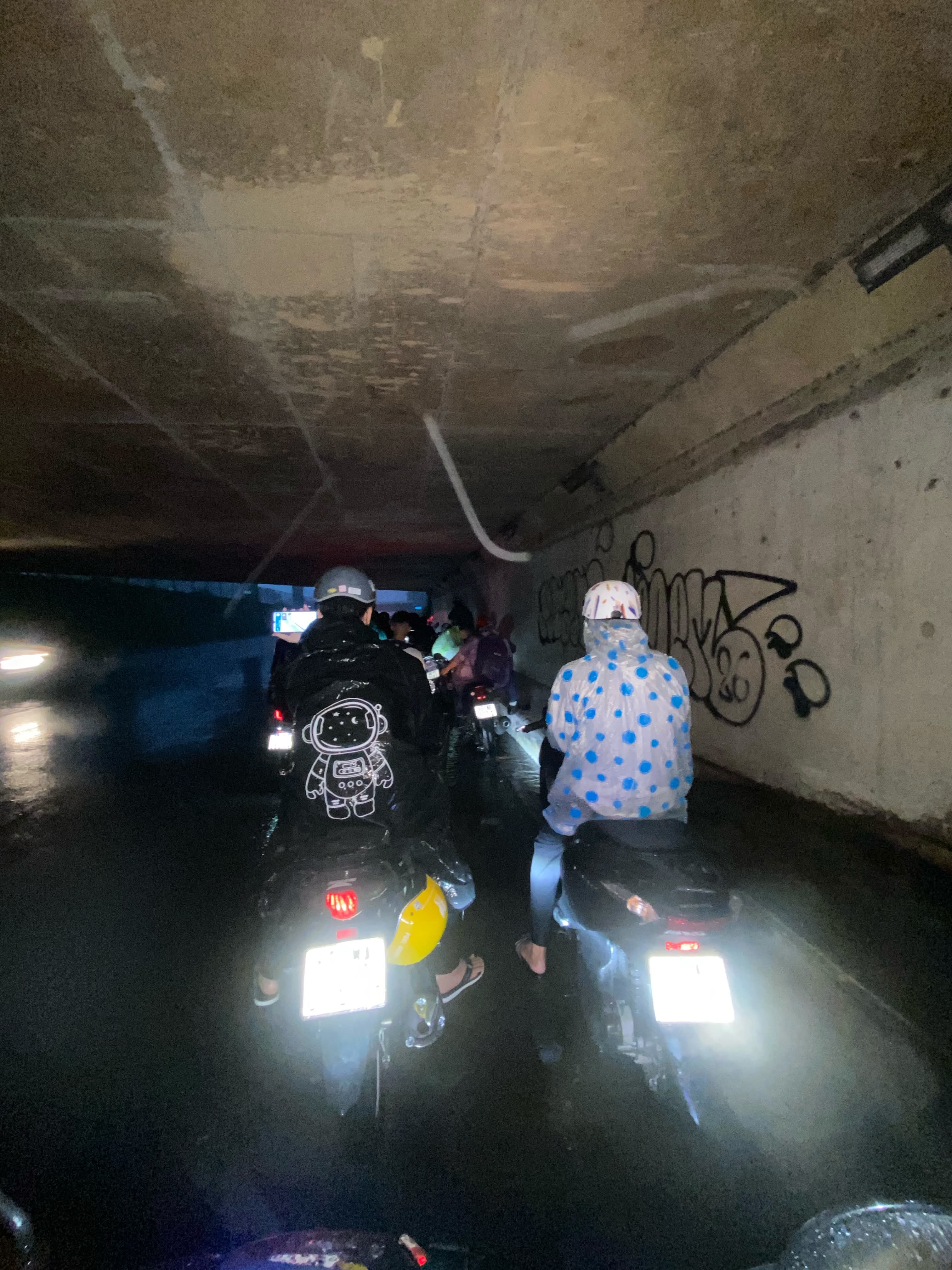 TP.HCM ảnh 1