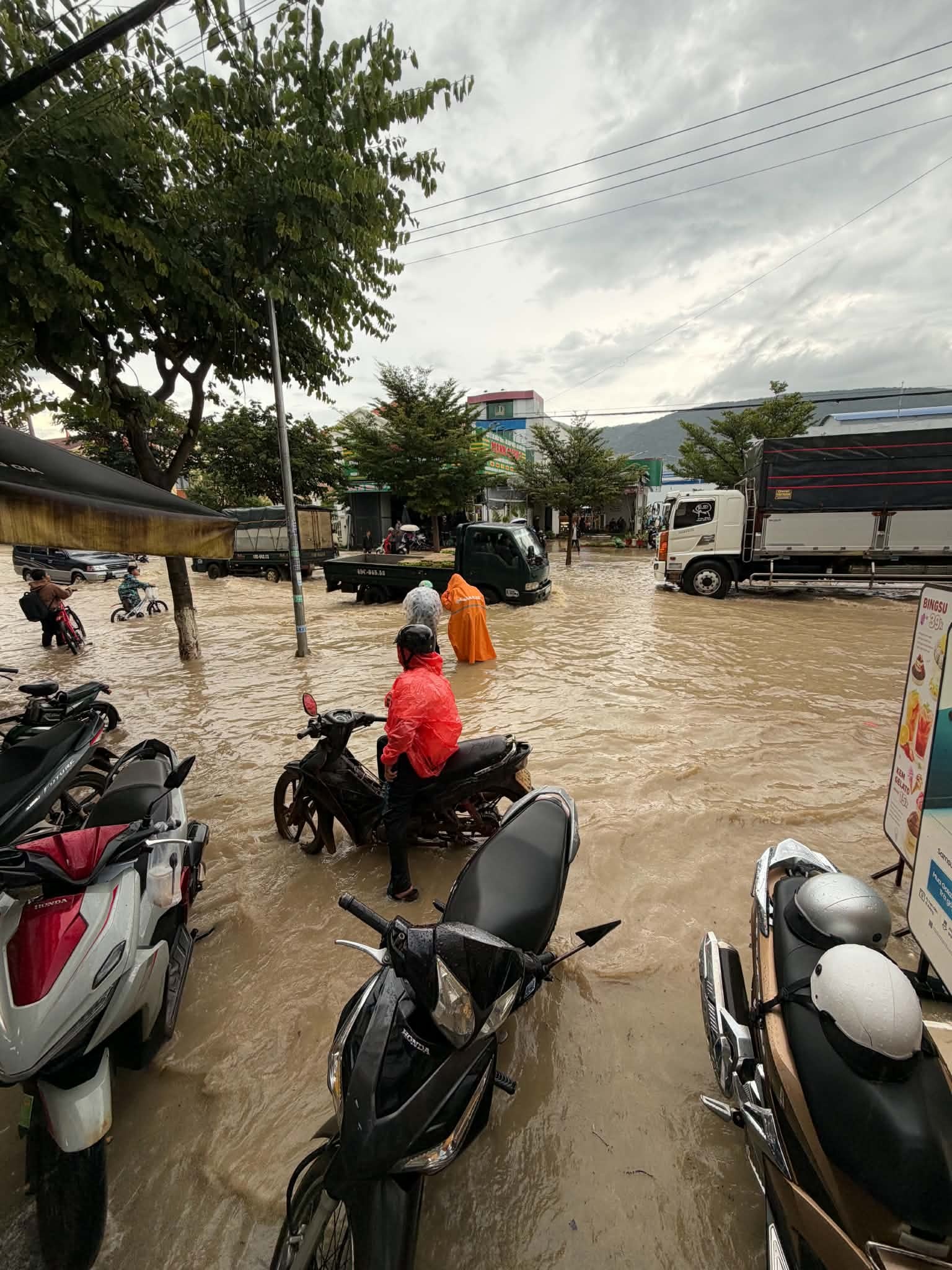 Đ&agrave; Lạt  ảnh 1