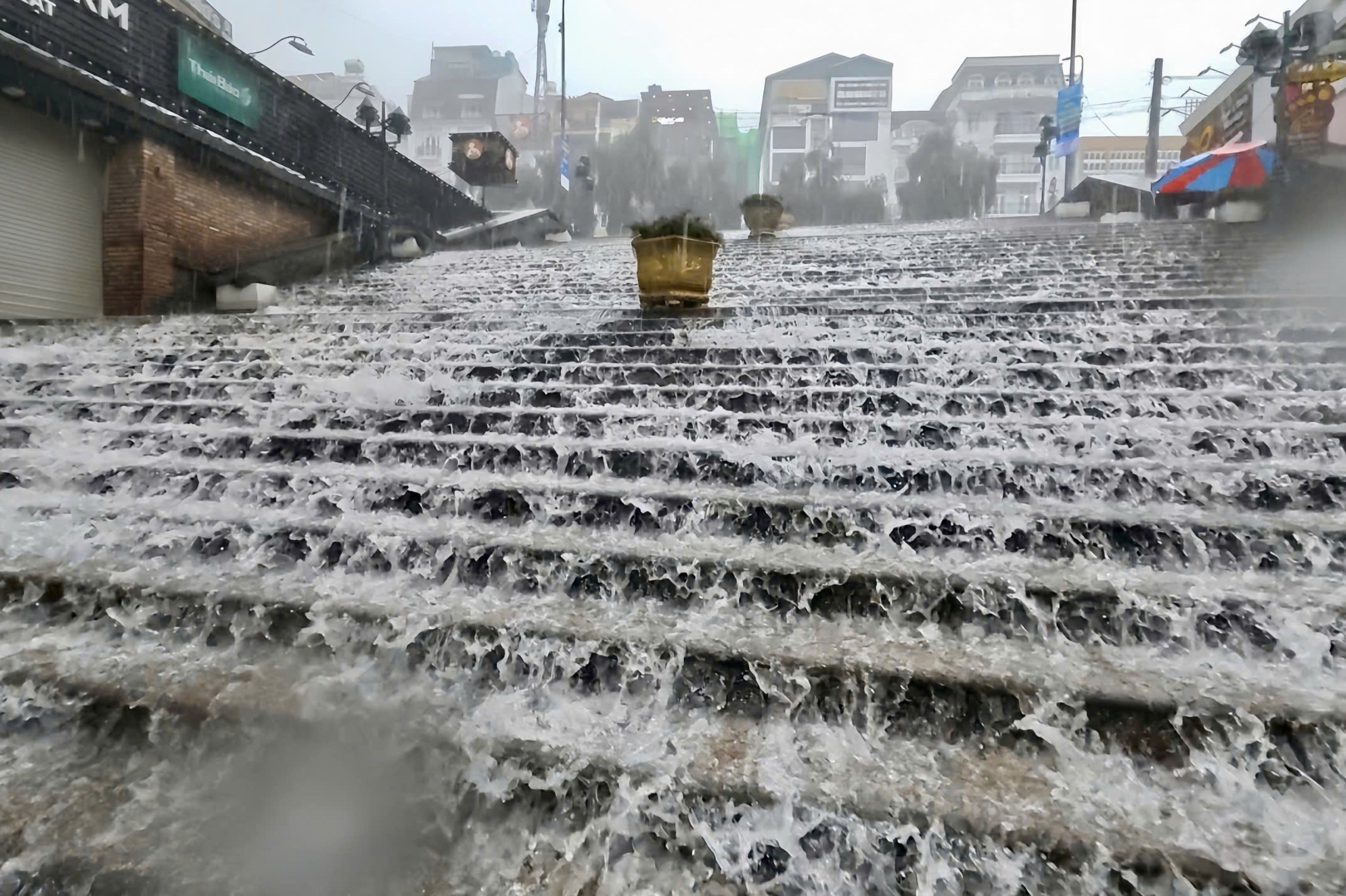 Đ&agrave; Lạt  ảnh 1