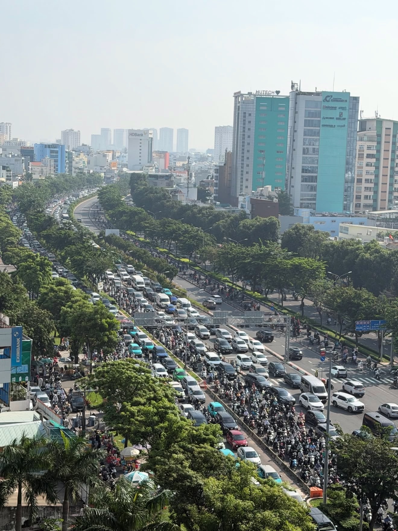 c&acirc;y cổ thụ ảnh 1