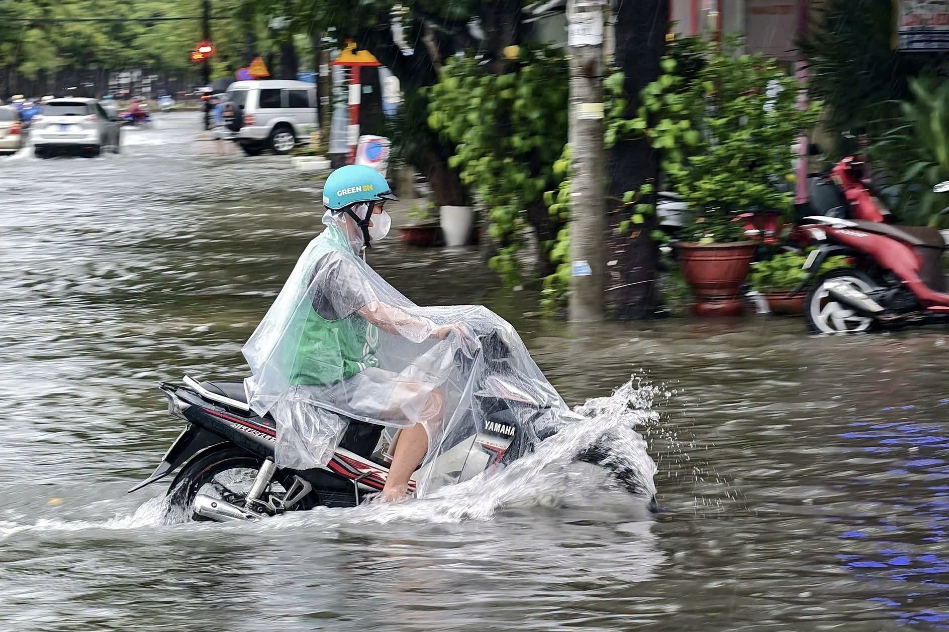 Đ&agrave; Nẵng ảnh 5