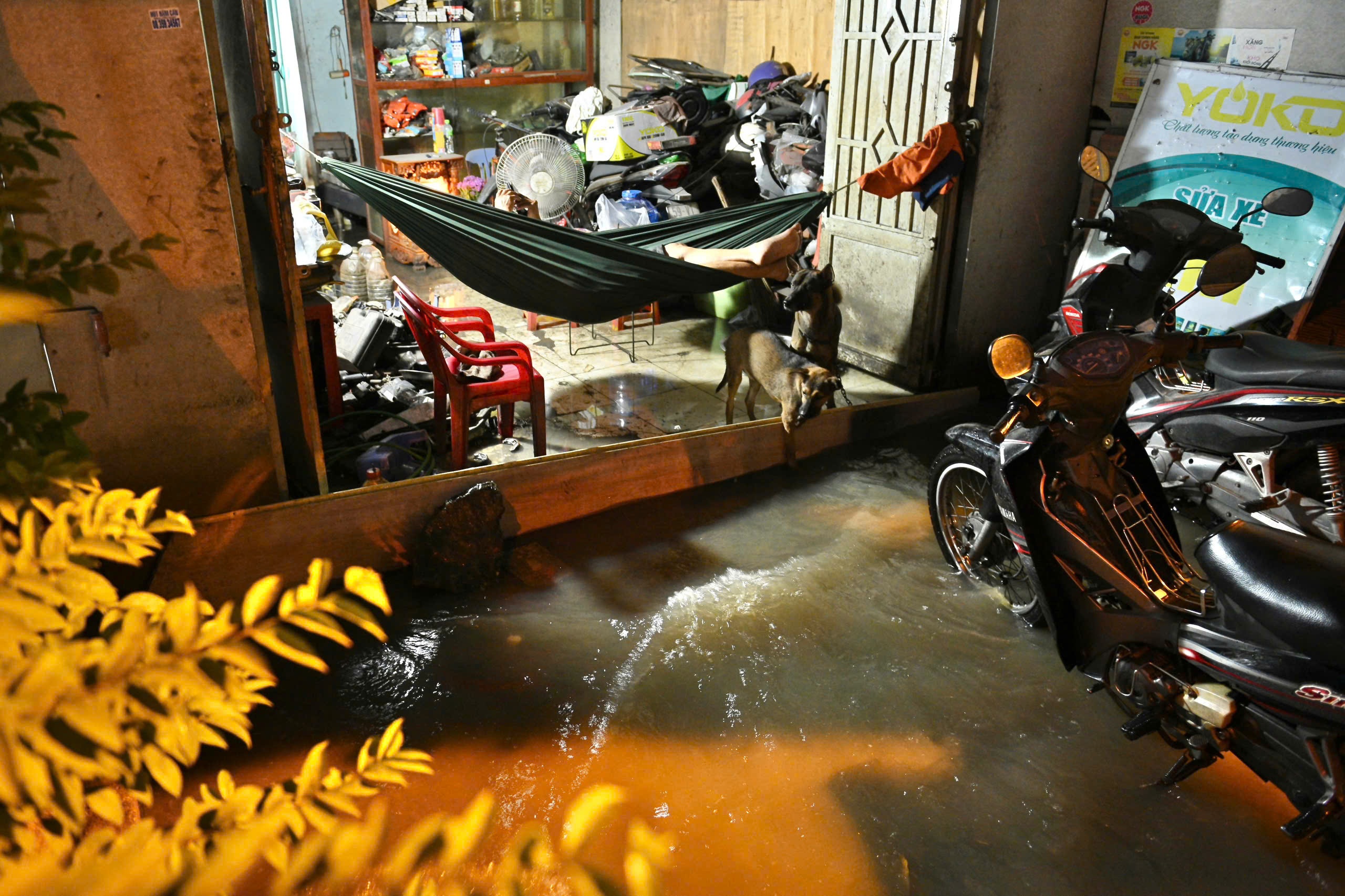 triều cường ảnh 7