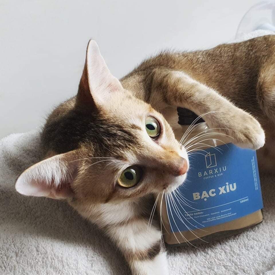 Nhà hàng, quán cà phê tại TP.HCM mong chờ bán tại chỗ ảnh 5 Nha hang, quan ca phe tai TP.HCM mong cho ban tai cho anh 5