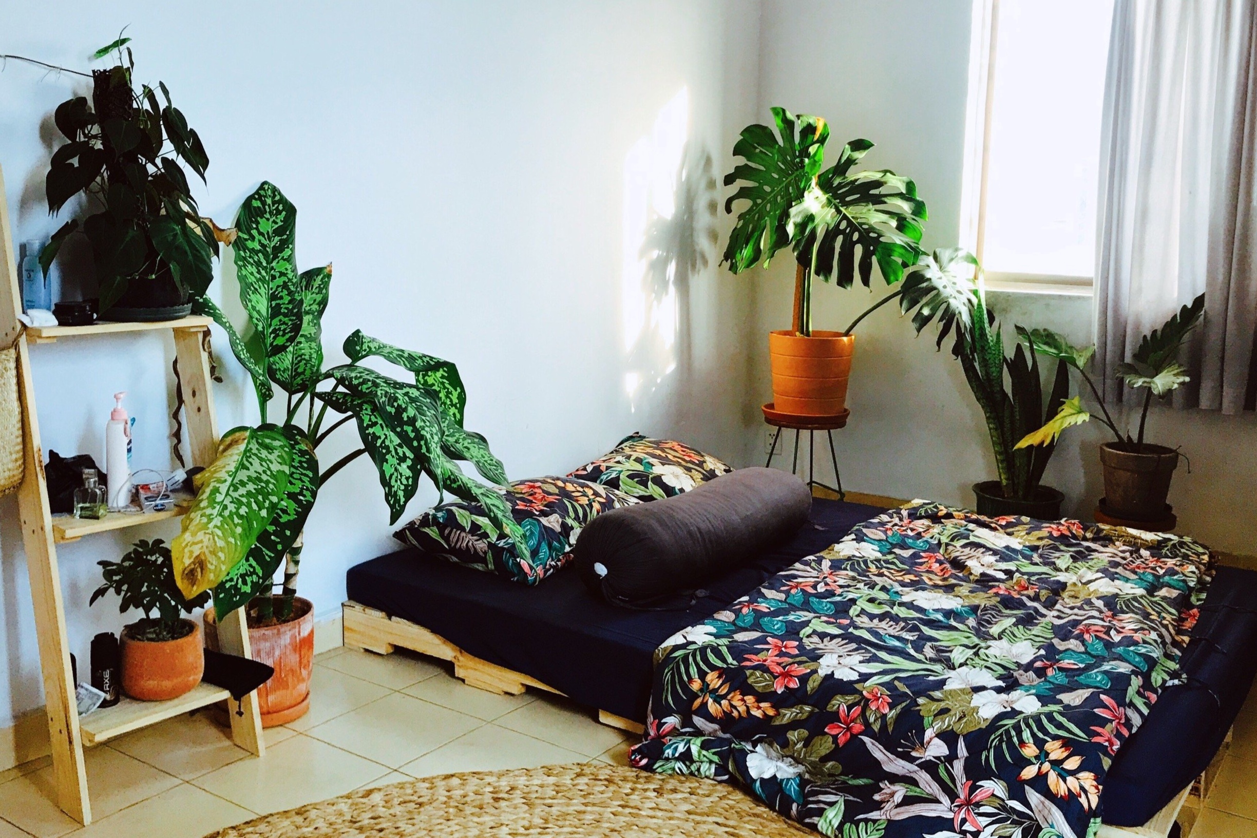 Lua chon cua nguoi thue chung cu o TP.HCM khi chu nha tang gia hinh anh