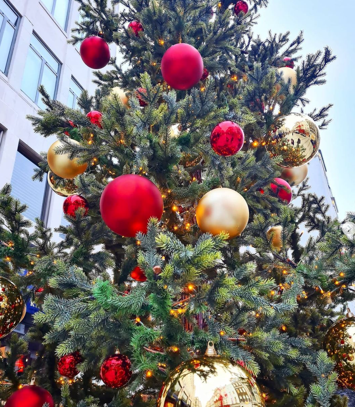 Gioi tre don Giang sinh som anh 12