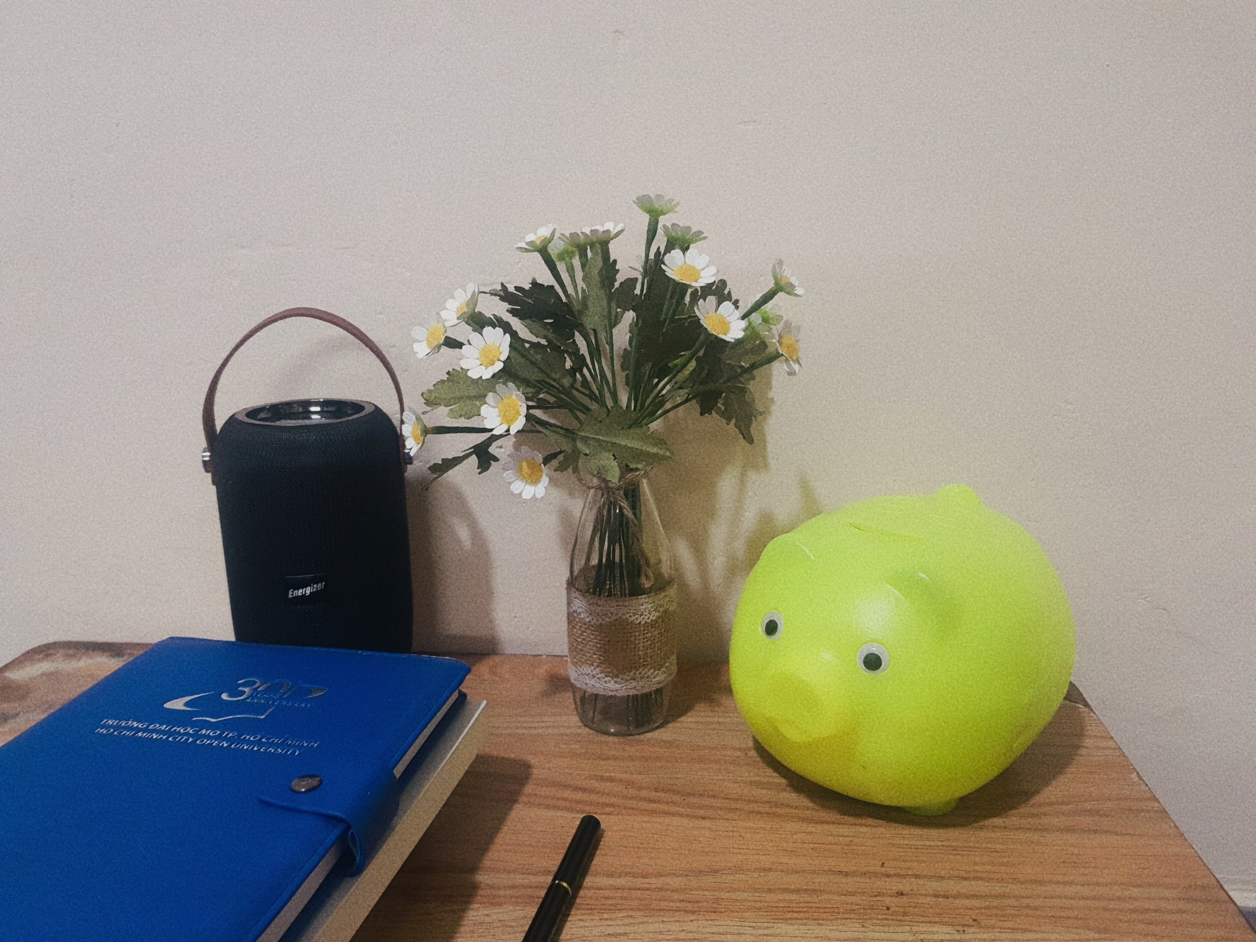 thu nhap bao nhieu la du o TP.HCM anh 3