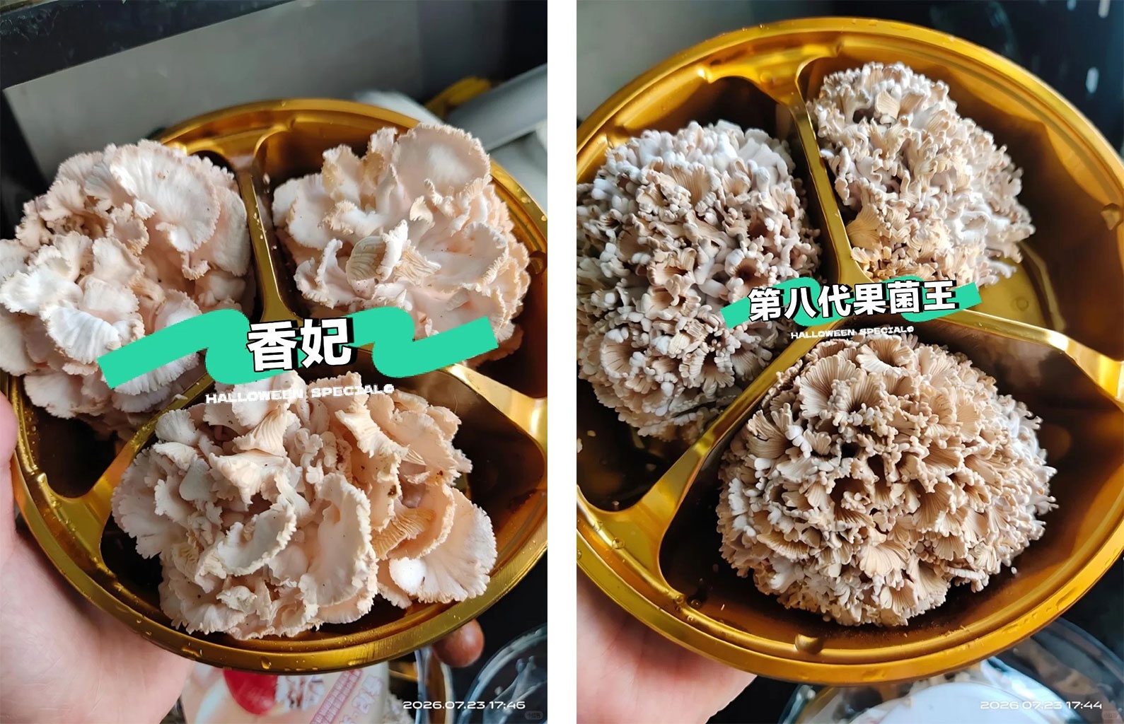 trung quốc  ảnh 2