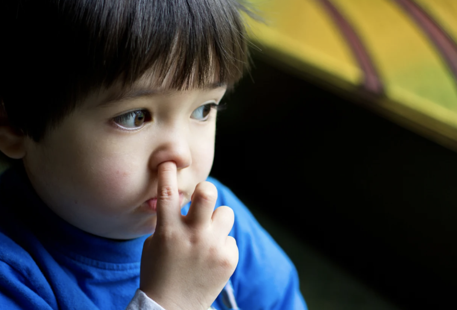 Benh tu thoi quen ngoay mui hinh anh