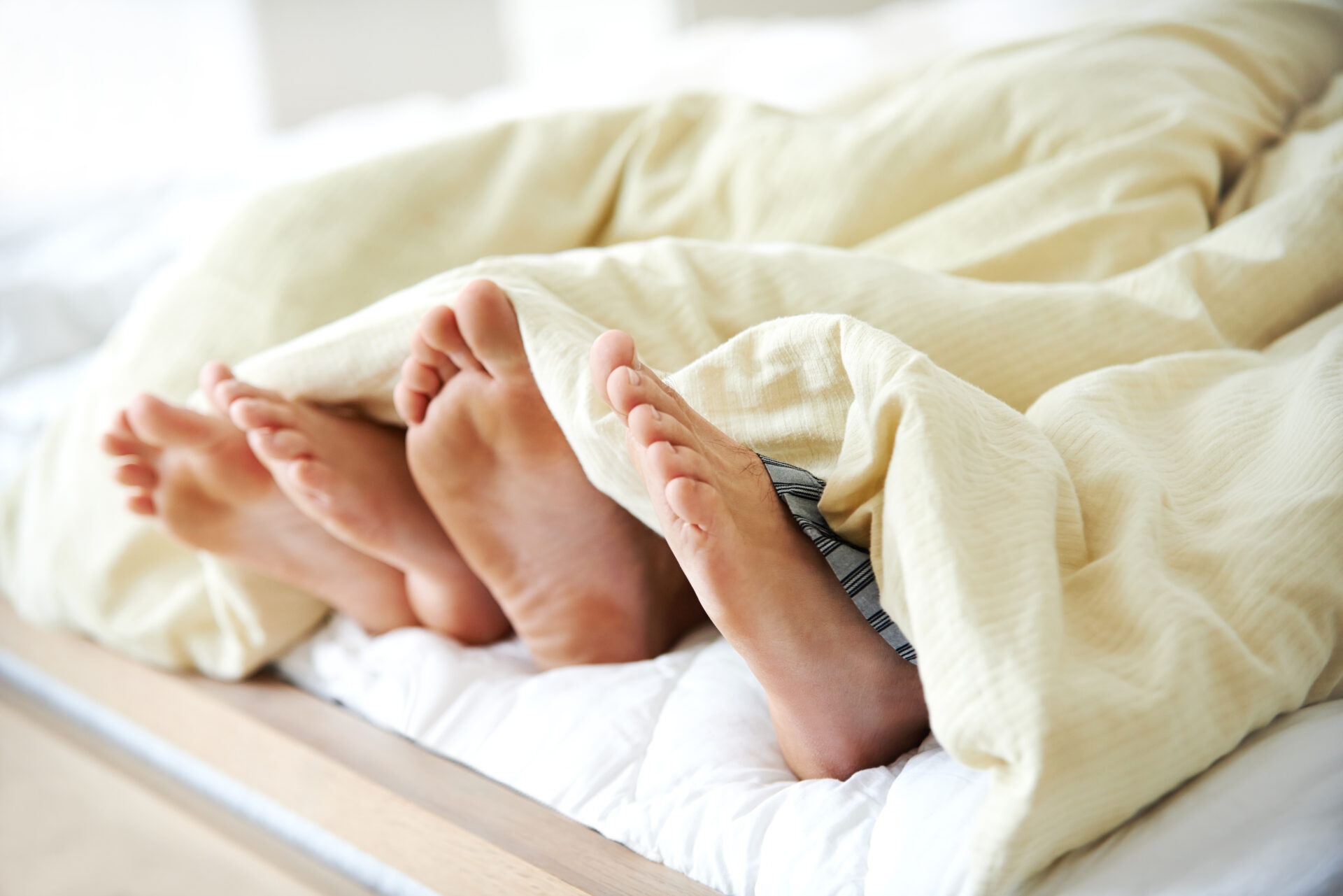 Nu gioi dan vat vi mo quan he cung nguoi la anh 1