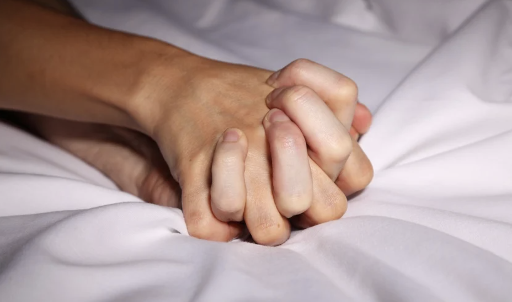 Thuc hu thit thu rung giup dan ong keo dai thoi gian quan he hinh anh