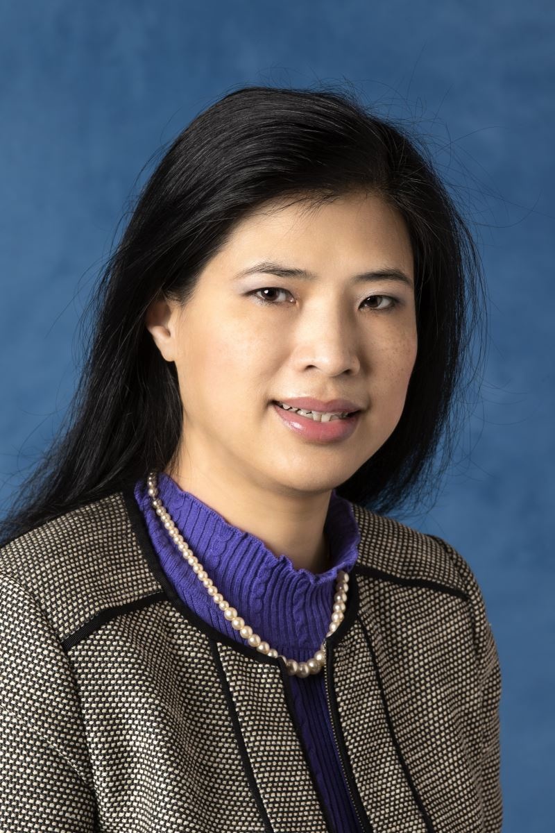 Giao su nguoi Viet thang giai thuong Hiep hoi Hoa hoc anh 1